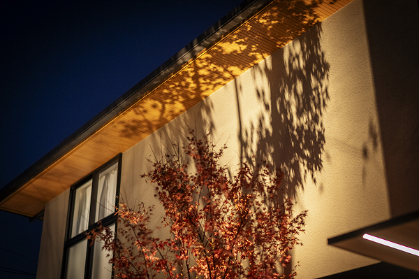 Exterior Work 2